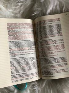 Bible Review NIV Artisan Collection Bible for Girls Image 5 #biblesforgirls #biblereview #biblesforteenagers #journalingbibles #bibleartjournaling #journalingartbibles #bibleart #biblejournaling #bibleartjournaling #bibleartjournalingforgirls