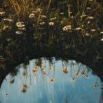 Prayer for Students: Prayer for Confidence Cover Photo