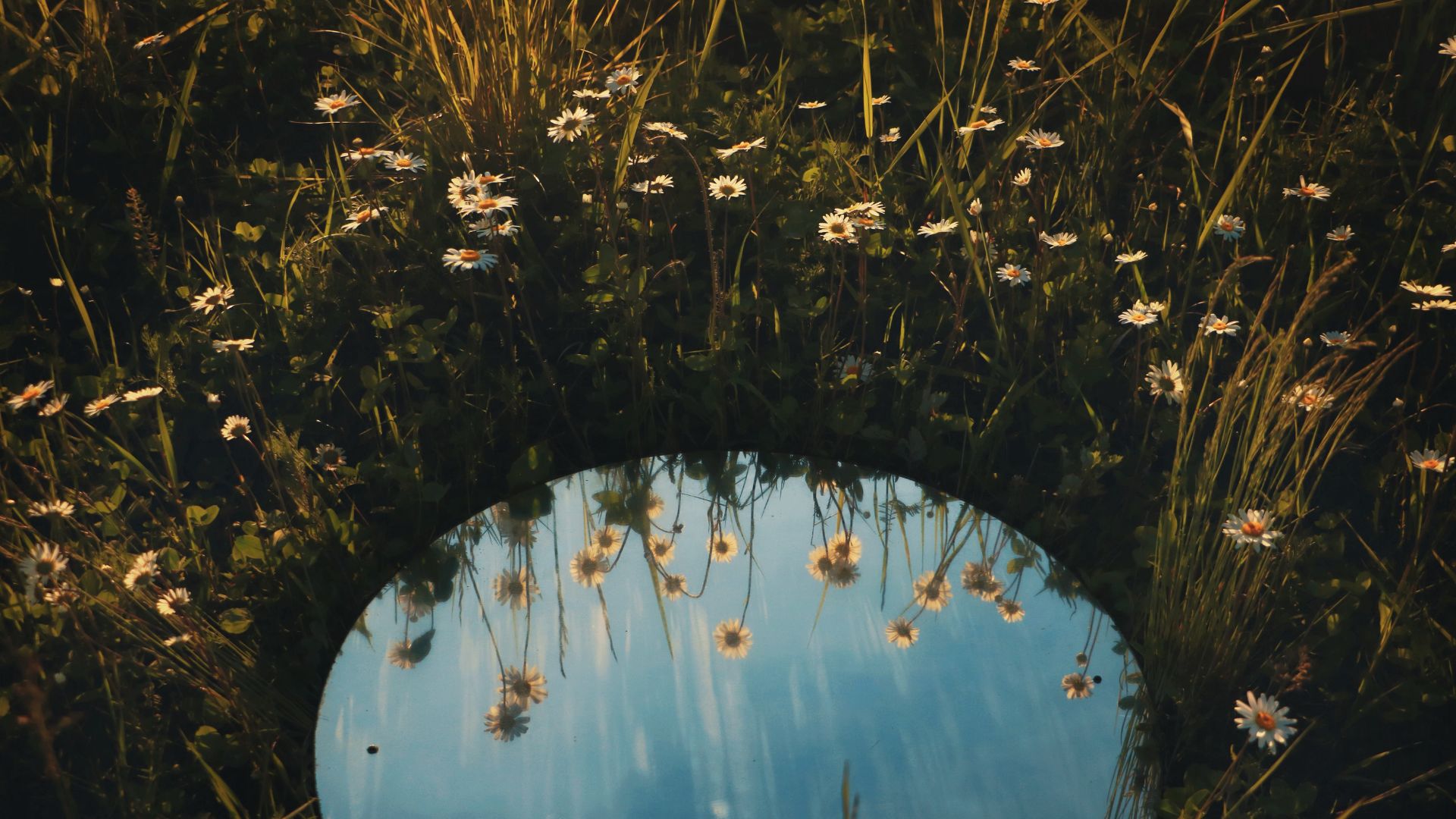 Prayer for Students: Prayer for Confidence Cover Photo